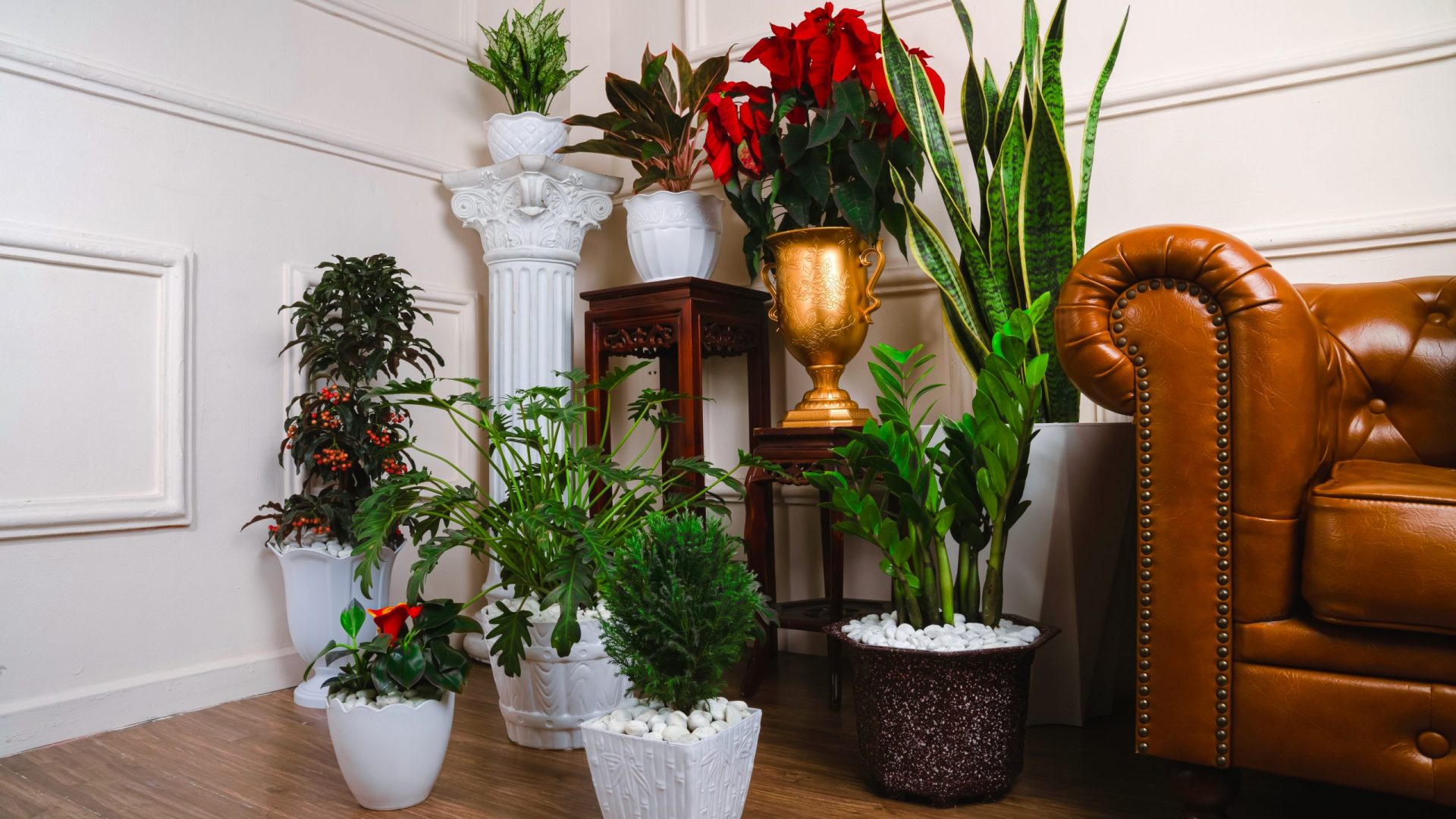 Cách nhập sỉ nguồn hàng cây thông Noel, đồ trang trí cây thông Noel giá rẻ